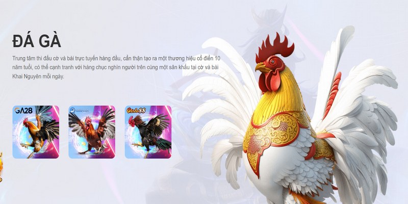 8S đã khẳng định vị thế là sân chơi cá cược trực tuyến tiên phong